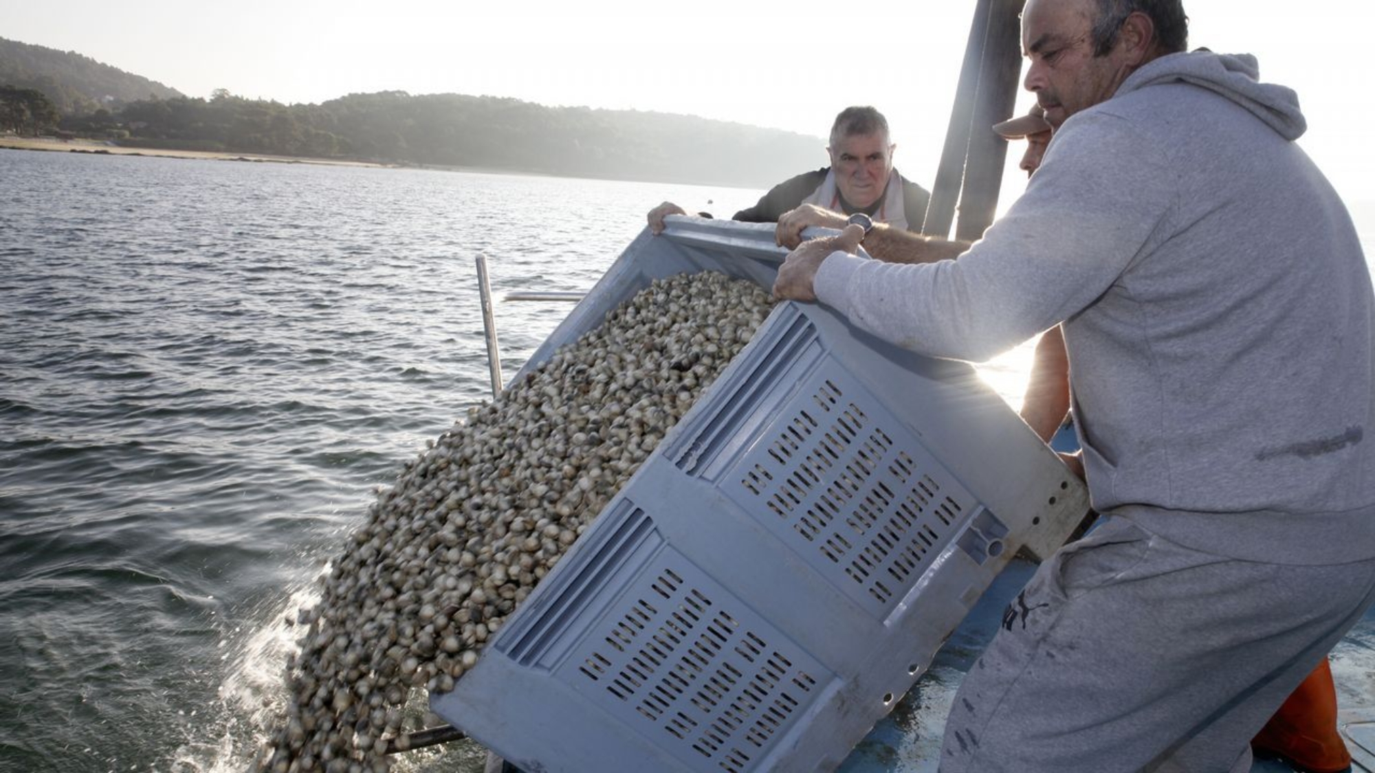 la cofradia de pescadores de noia (2)