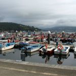 La OPP-95 Noia asume el control del criadero y la depuradora para reforzar la gestión del berberecho