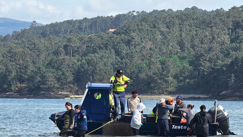 Sustentabilidade-da-ria-de-noia