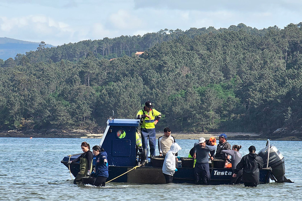 Sustentabilidade-da-ria-de-noia