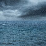 Como afecta o clima ao Berberecho de Noia?