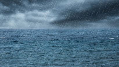 como-afecta-el-clima-al-berberecho