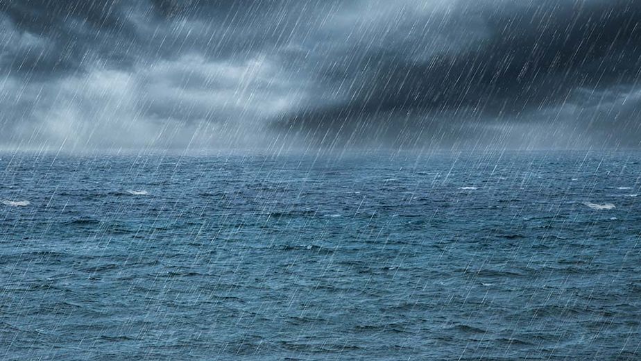 como-afecta-el-clima-al-berberecho