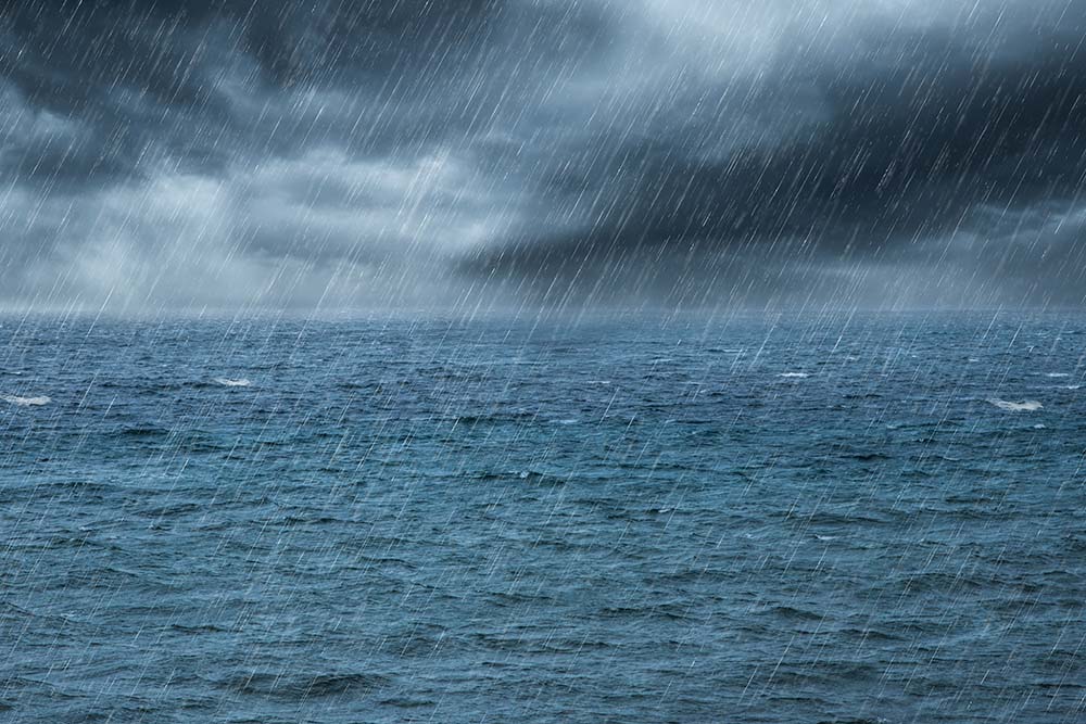 como-afecta-el-clima-al-berberecho